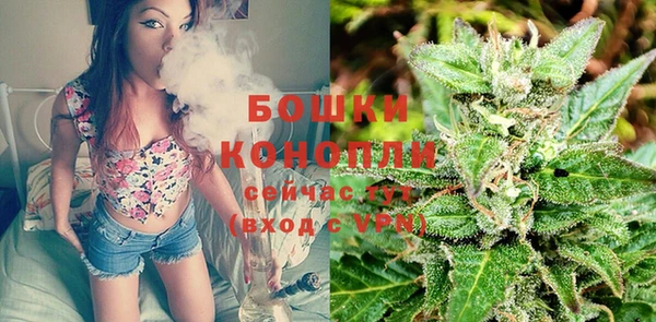 дурь Белокуриха